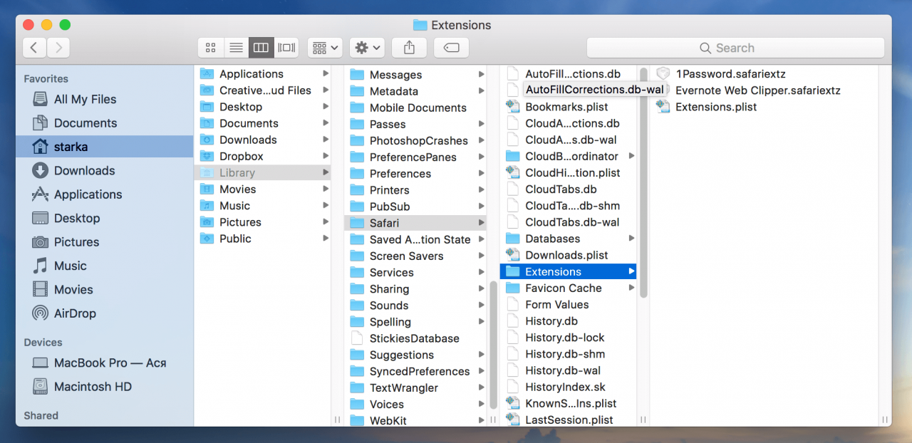 web extensions on mac