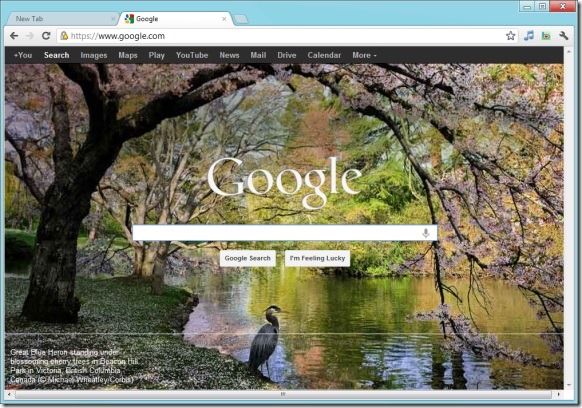 Définir l'arrière-plan de la page d'accueil Bing comme arrière-plan de votre page d'accueil Google